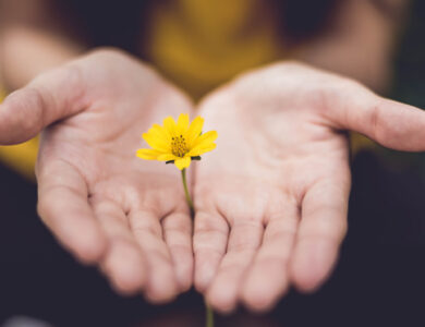מדיטציה להרגעה - מדיטציה בדמיון מודרך להרגעה